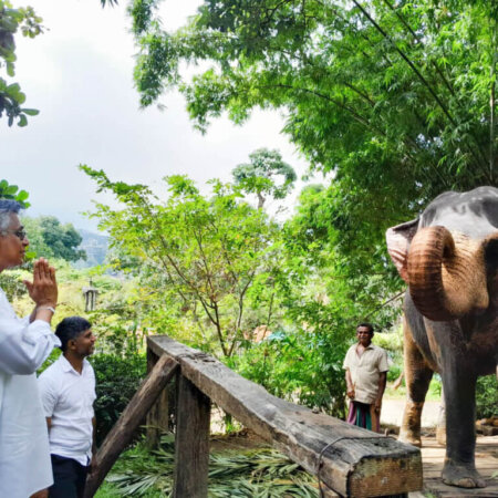 මාලිගාවේ ඇත්ගාල ජනතාවට විවෘත්ත කළ වගයි….